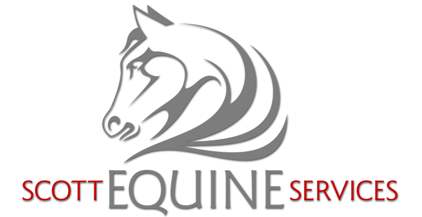 Scott Equine Services, Equine Veterinary Services for South FL including Miami-Dade, Broward, Palm Beach, Collier, Hendry, and Monroe Counties